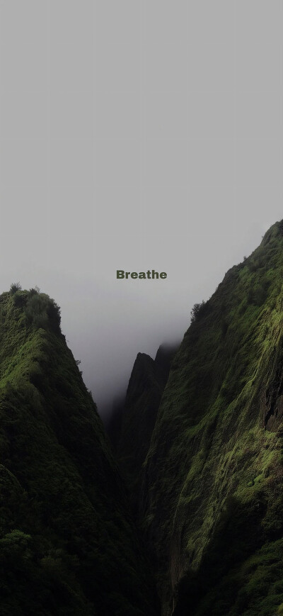 手机壁纸 平铺壁纸