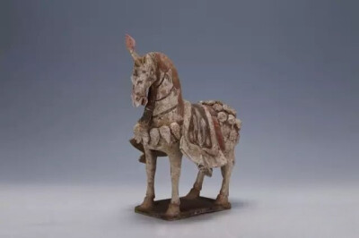 南北朝时期  彩绘仪仗马 
观复博物馆藏
