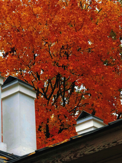 日常
心似双丝网，中有千千结。