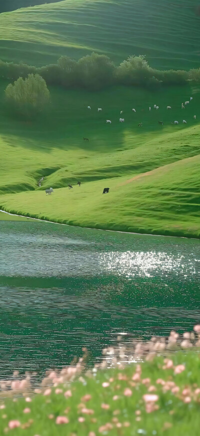 手机壁纸 平铺壁纸