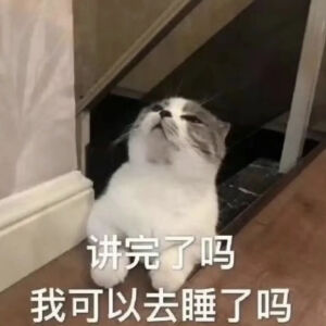 猫猫表情包