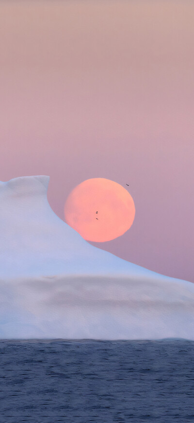 手机壁纸 平铺壁纸