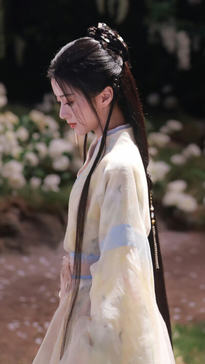 江湖夜雨十年灯 蔡昭 包上恩