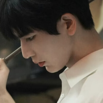 某些现在可以勉强回忆起来的事情开始在苍白寂寥的冬天，这样的日子，眼睛里面这个断层只能看到咫尺的未来