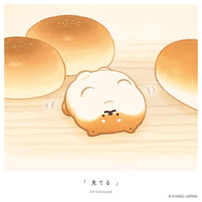 面包小狗（蓬蓬狗）