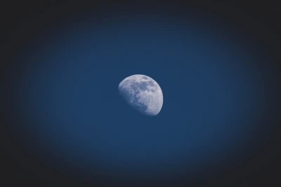 Photo by WPcoder