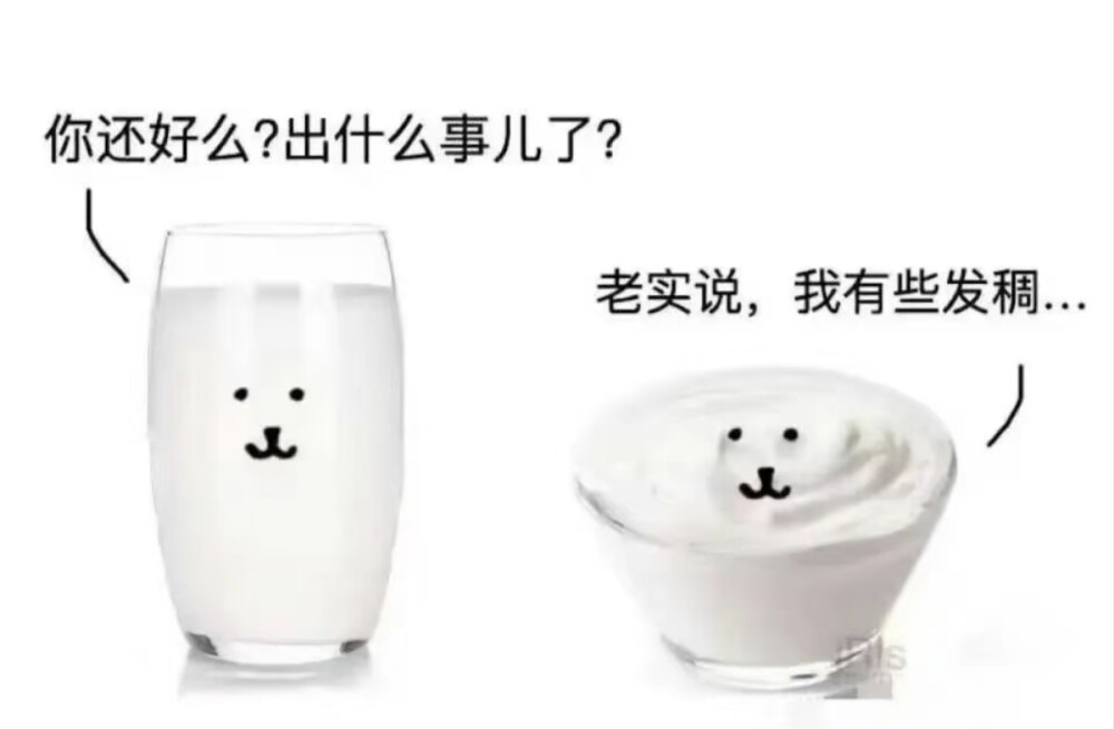 自嘲熊表情包