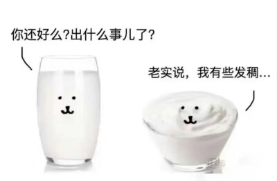 自嘲熊表情包