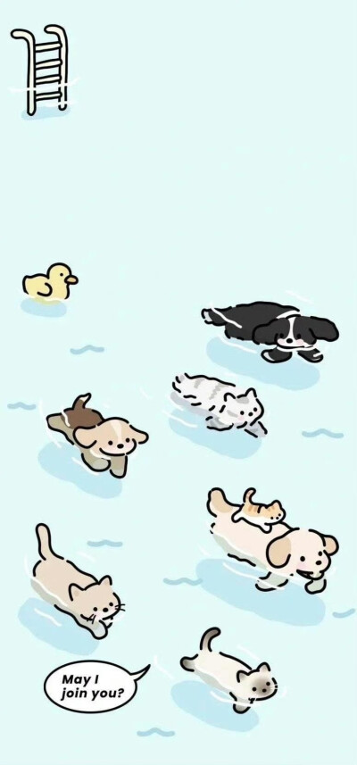 可爱的头像 背景图 素材
禁止商用 禁止二改