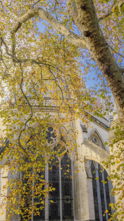 大海把所有的蔚蓝都揉碎，
灯塔像不肯沉没的星光。
by.@overwater