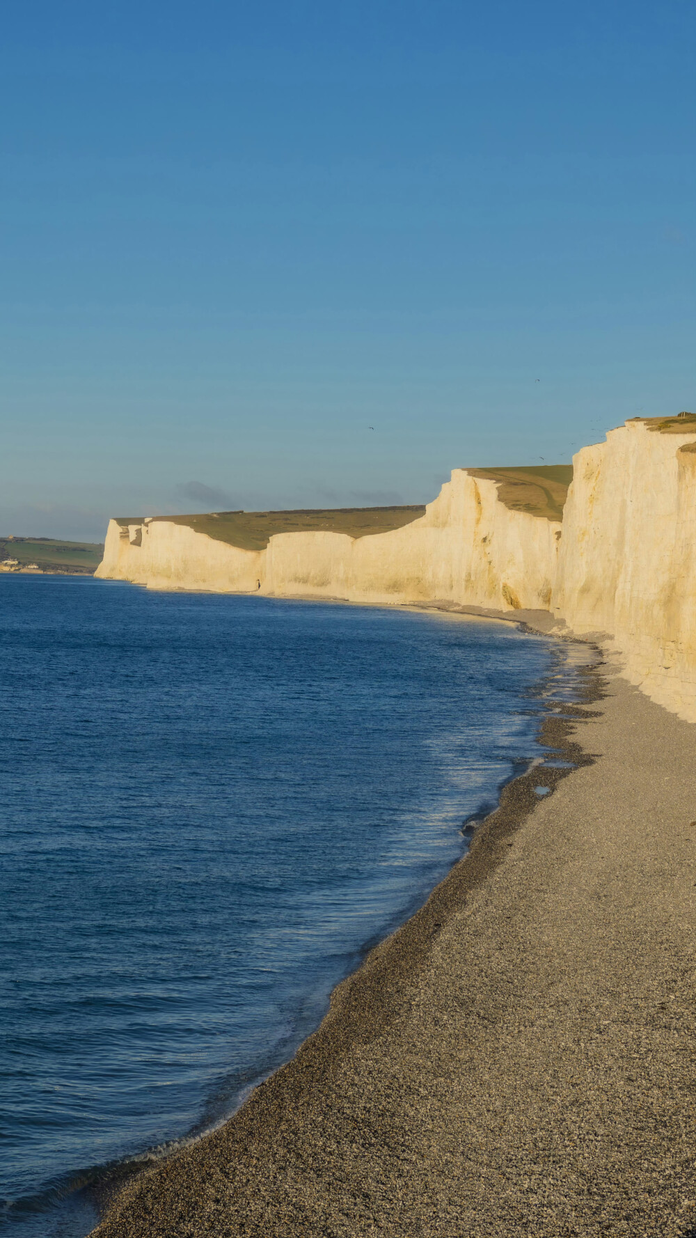 大海把所有的蔚蓝都揉碎，
灯塔像不肯沉没的星光。
by.@overwater