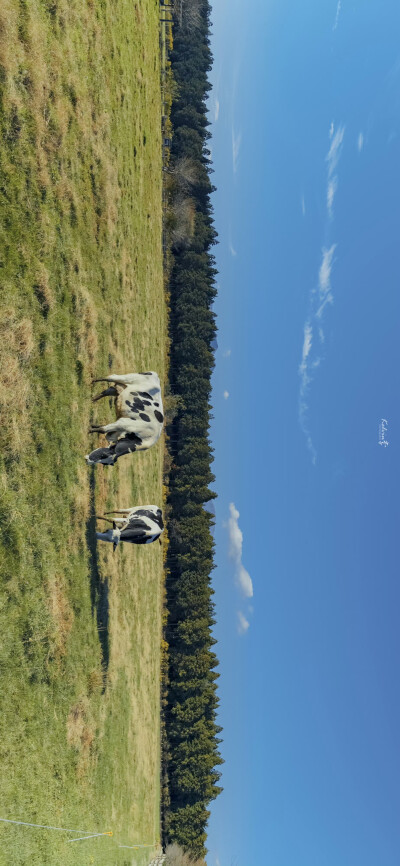 小镇之秋
by.@kelvin李