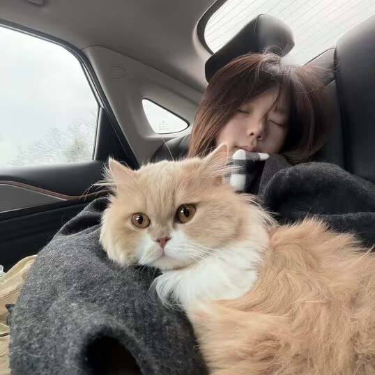 女生头像
被迷晕咯 ࡇ .ᐟ.ᐟ 