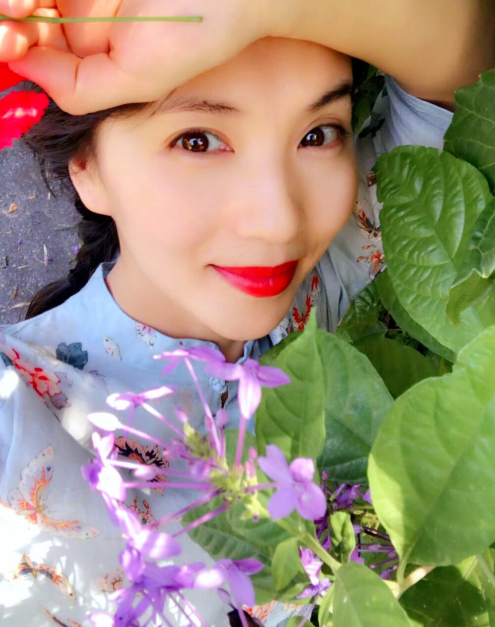 陈好