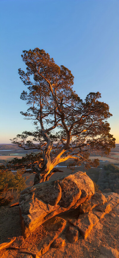壁纸·图源微博