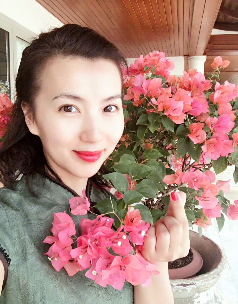 陈好
