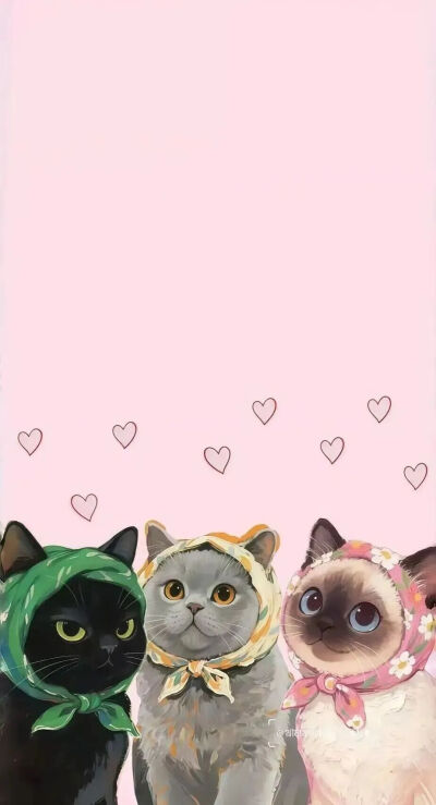 可爱的
图片来自网络，侵删