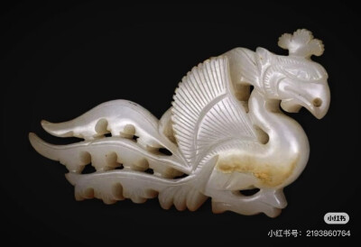 璀璨-小红书转载