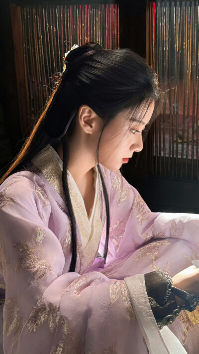 江湖夜雨十年灯 蔡昭 包上恩