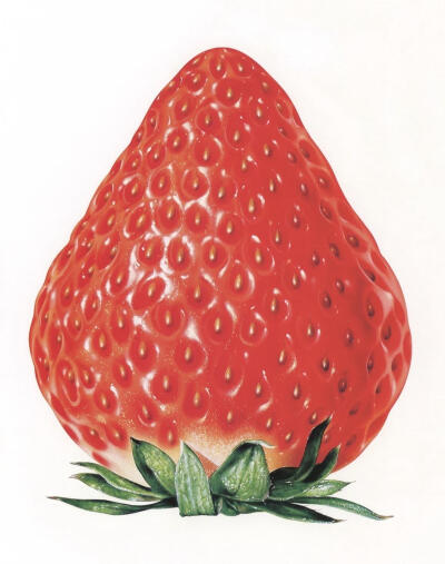 草莓