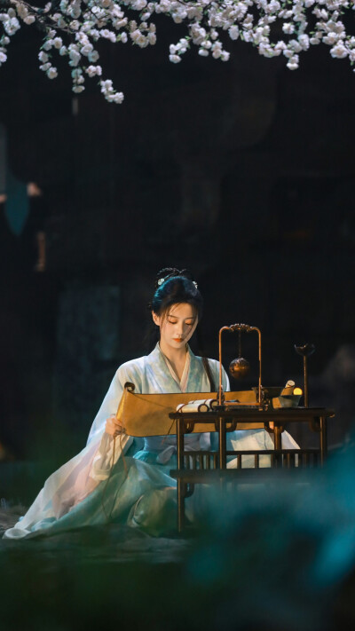 江湖夜雨十年灯 蔡昭 包上恩