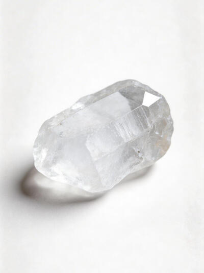 香料佐料白底头像