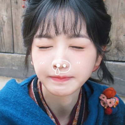 我标记了一只猪