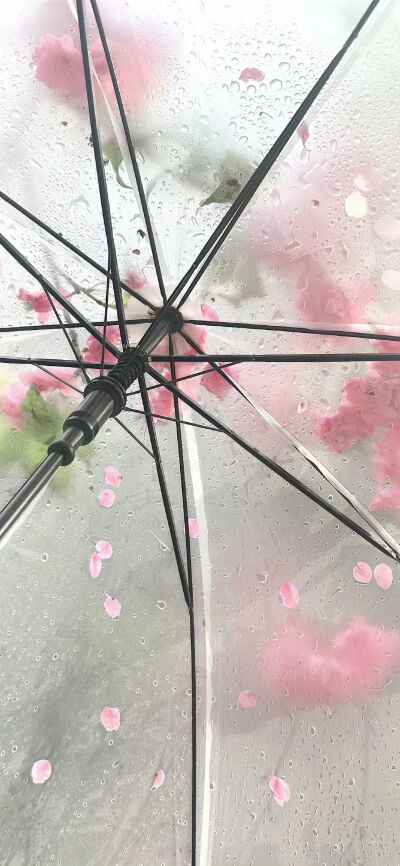 侵删