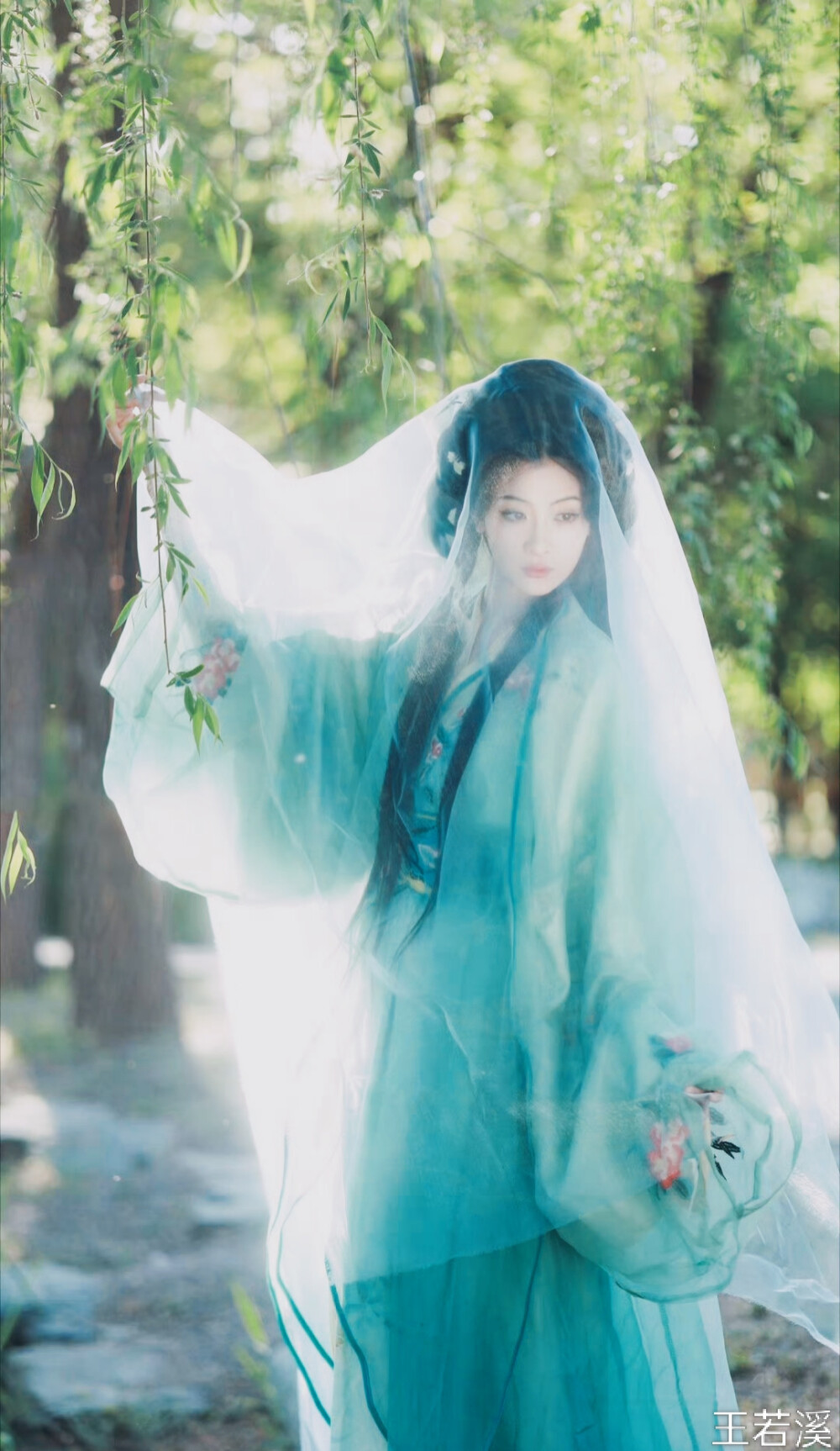 王若溪