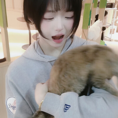 一条小猫语音条:我想你啦♡|ııııı|ıı|