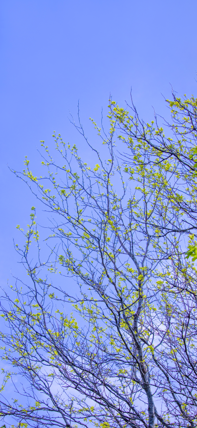 ‎#ليس قوة خارقة