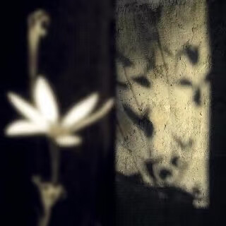 落花有意流水无情