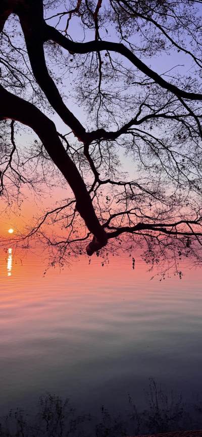 ‎#ليس قوة خارقة