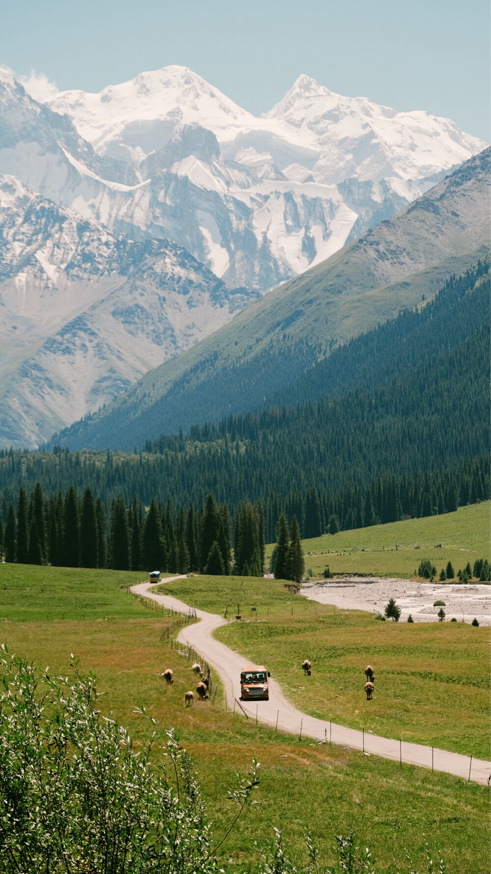 世界是旷野
by.@温叁叁-