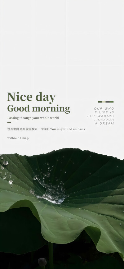 壁纸·图源微博