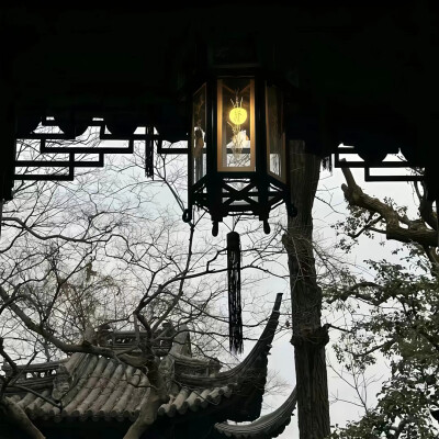 落花有意流水无情