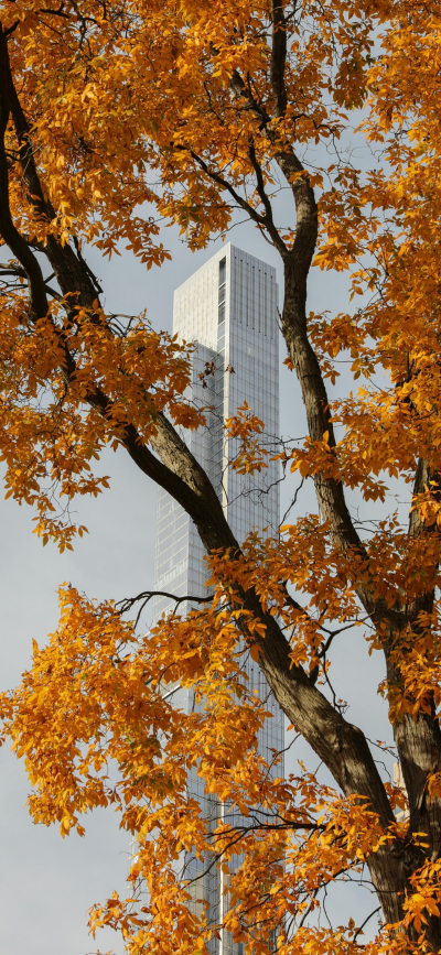 ‎#ليس قوة خارقة