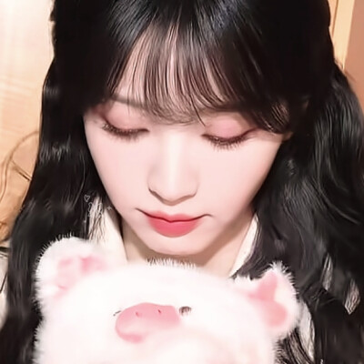 全世界最可爱的两只猪