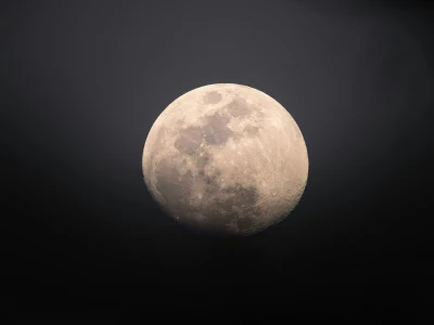 Photo by 壁纸迷