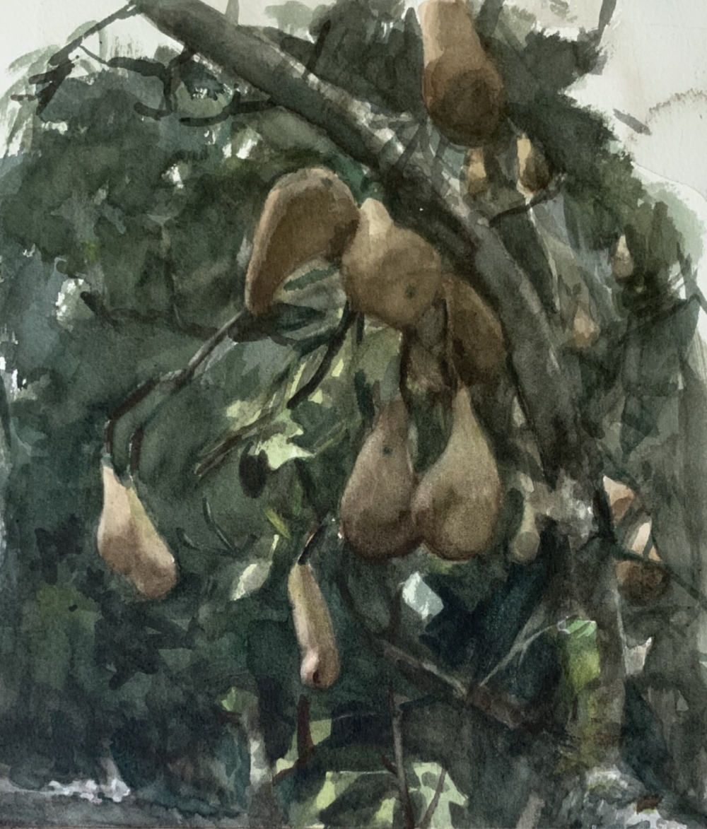 凯瑟琳·杰克逊是一位活跃于当代艺术界的具象画家，以细腻而富有情绪深度的人物绘画而受到关注。她在传统绘画训练的基础上发展出兼具写实结构与当代表达的个人风格，通过对光线、色彩和人物心理状态的细致刻画，使作品呈现出安静而富有张力的视觉气质。杰克逊的创作主要围绕人物肖像与半身像展开，常以简洁或略带抽象的背景来突出人物本身。她擅长利用柔和而层次丰富的光影关系塑造体积，通过低饱和度的综合色调营造沉静、内省的氛围。人物往往带有沉思或含蓄的神情，画面仿佛停留在某个情绪正在生成的瞬间，使观者能够与人物产生心理共鸣。