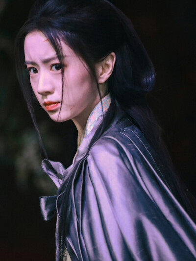 江湖夜雨十年灯 蔡昭 包上恩