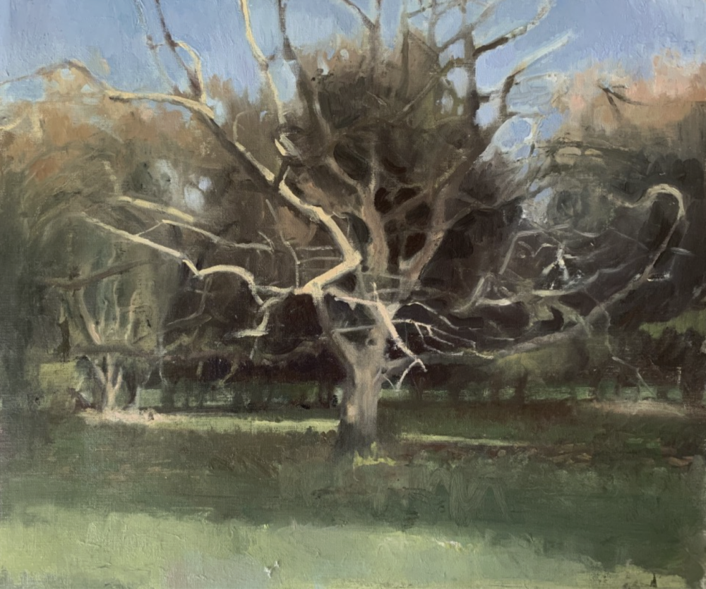 凯瑟琳·杰克逊是一位活跃于当代艺术界的具象画家，以细腻而富有情绪深度的人物绘画而受到关注。她在传统绘画训练的基础上发展出兼具写实结构与当代表达的个人风格，通过对光线、色彩和人物心理状态的细致刻画，使作品呈现出安静而富有张力的视觉气质。杰克逊的创作主要围绕人物肖像与半身像展开，常以简洁或略带抽象的背景来突出人物本身。她擅长利用柔和而层次丰富的光影关系塑造体积，通过低饱和度的综合色调营造沉静、内省的氛围。人物往往带有沉思或含蓄的神情，画面仿佛停留在某个情绪正在生成的瞬间，使观者能够与人物产生心理共鸣。