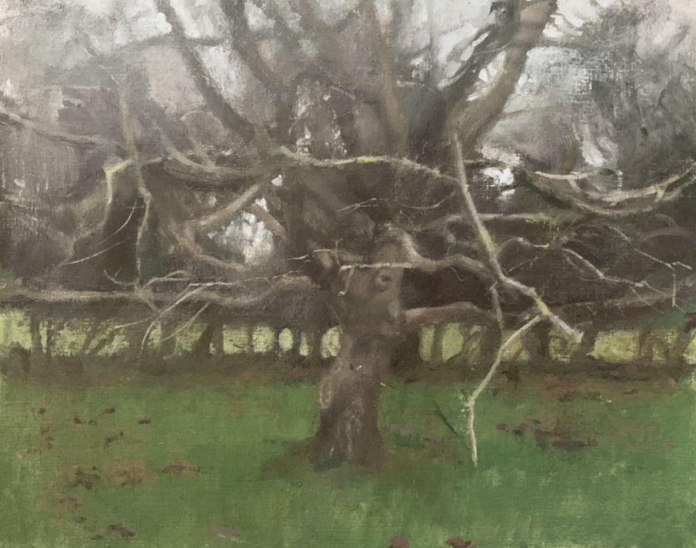 凯瑟琳·杰克逊是一位活跃于当代艺术界的具象画家，以细腻而富有情绪深度的人物绘画而受到关注。她在传统绘画训练的基础上发展出兼具写实结构与当代表达的个人风格，通过对光线、色彩和人物心理状态的细致刻画，使作品呈现出安静而富有张力的视觉气质。杰克逊的创作主要围绕人物肖像与半身像展开，常以简洁或略带抽象的背景来突出人物本身。她擅长利用柔和而层次丰富的光影关系塑造体积，通过低饱和度的综合色调营造沉静、内省的氛围。人物往往带有沉思或含蓄的神情，画面仿佛停留在某个情绪正在生成的瞬间，使观者能够与人物产生心理共鸣。