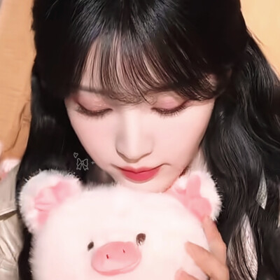 全世界最可爱的两只猪