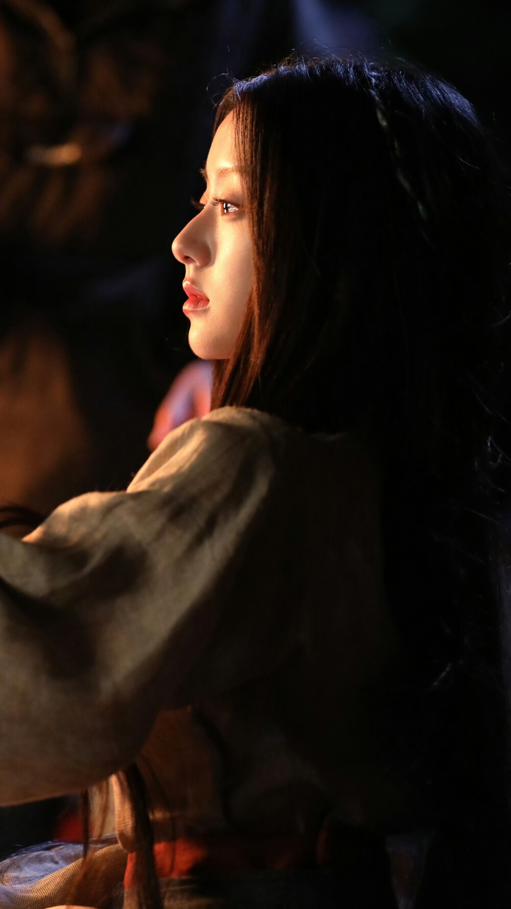 江湖夜雨十年灯 蔡昭 包上恩