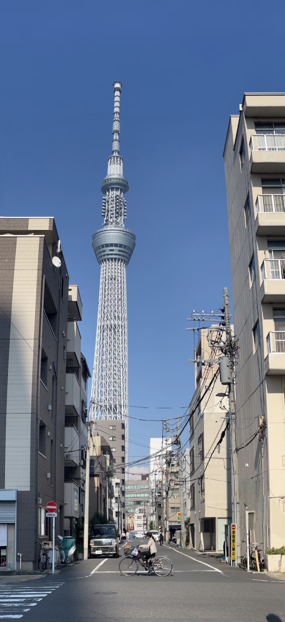手机壁纸