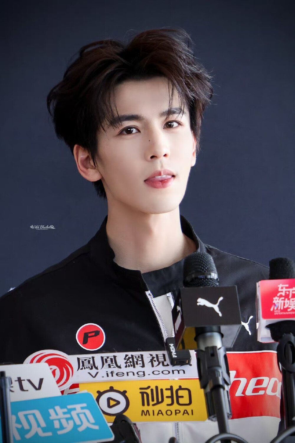 cr.WildBluebell·张凌赫