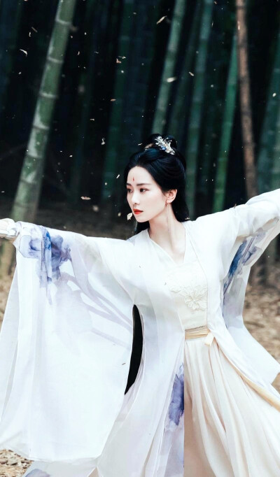 刘诗诗/东方淮竹