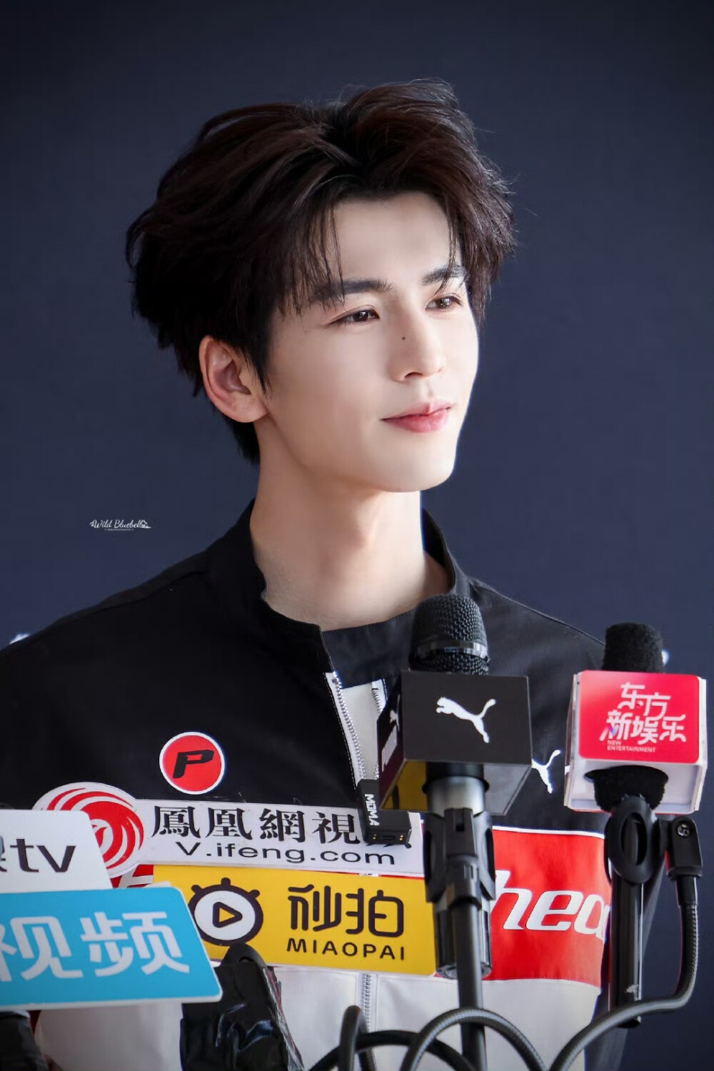 cr.WildBluebell·张凌赫