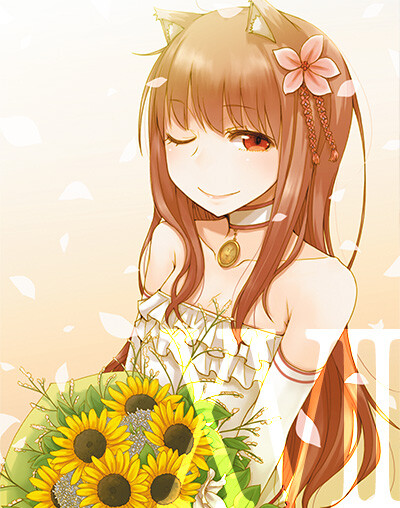 赫萝
狼与香辛料